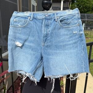 Everlane Light Blue Distressed Denim Cutoff Shorts